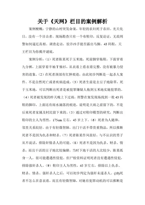 关于《天网》栏目的案例解析
