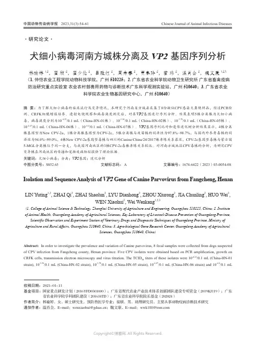 犬细小病毒河南方城株分离及VP2_基因序列分析