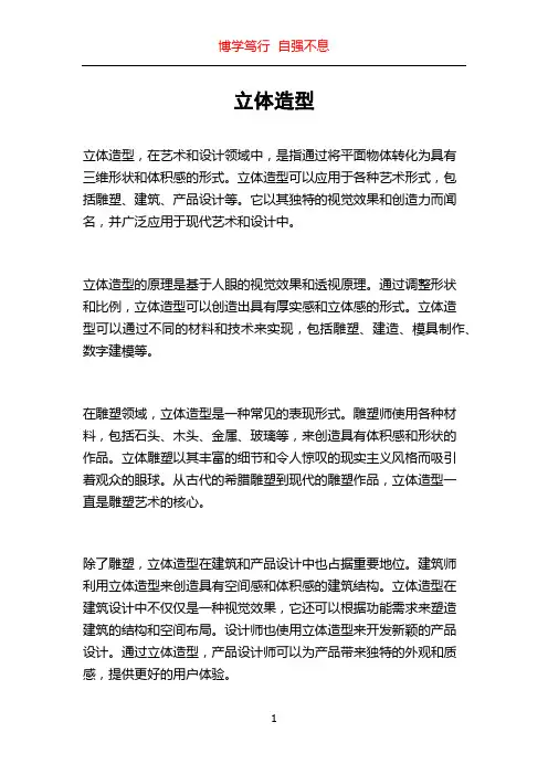 立体造型_精品文档