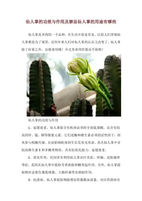 仙人掌的功效与作用及禁忌 仙人掌的用途有哪些