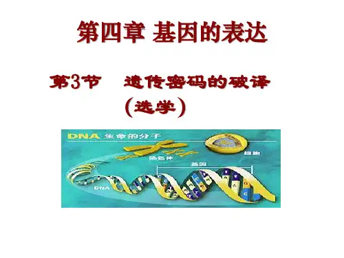 遗传密码的破译-高一下学期生物人教版必修2