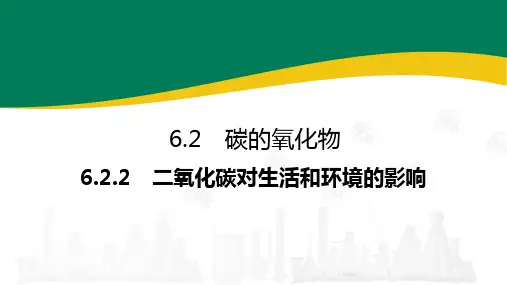 2024-2025学年化学人教版九年级上册 6.2.2 二氧化碳对生活和环境的影响