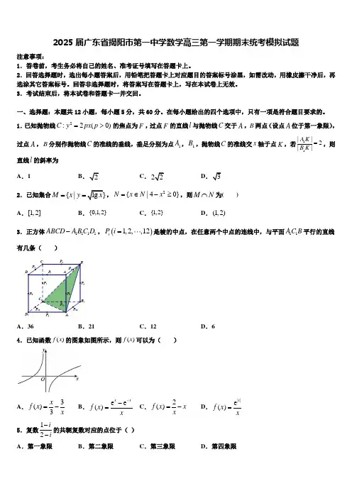 2025届广东省揭阳市第一中学数学高三第一学期期末统考模拟试题含解析