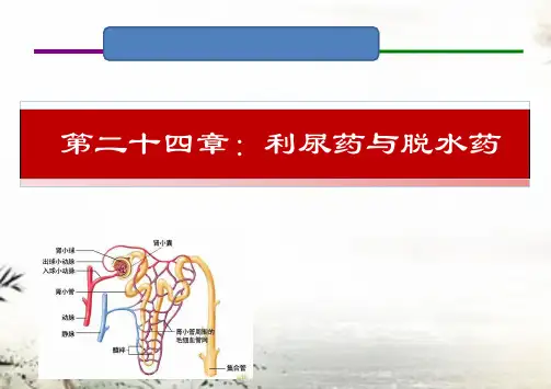 24 利尿药及脱水药(人卫九版药理学)