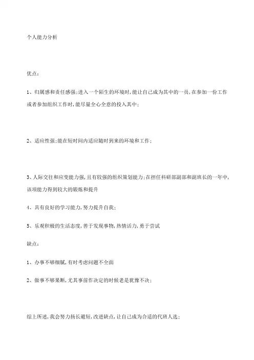 个人能力分析