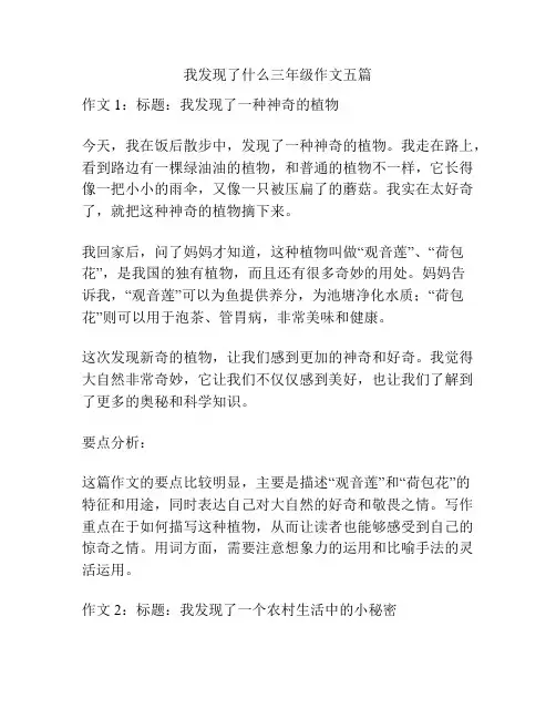 我发现了什么三年级作文五篇