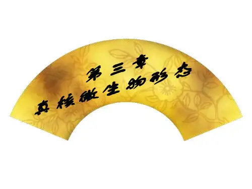 生物化学真核微生物