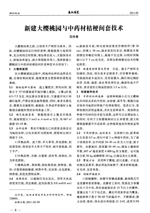 新建大樱桃园与中药材桔梗间套技术
