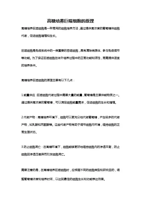 高糖培养巨噬细胞的原理
