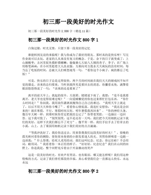 初三那一段美好的时光作文