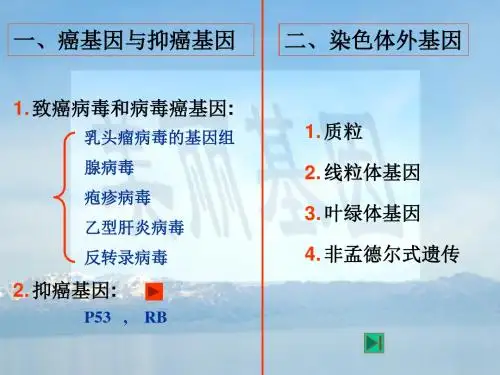 基因的概念和结构4