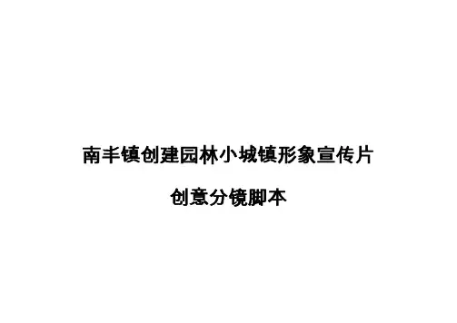 南丰镇创建园林小城镇宣传片0821