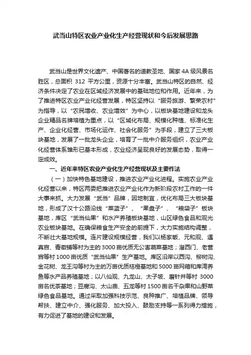 武当山特区农业产业化生产经营现状和今后发展思路