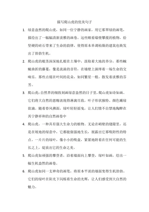 描写爬山虎的优美句子