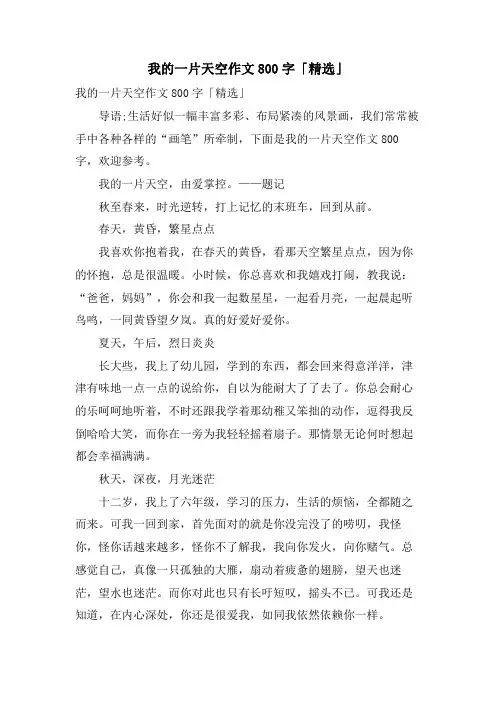 我的一片天空作文800字「」