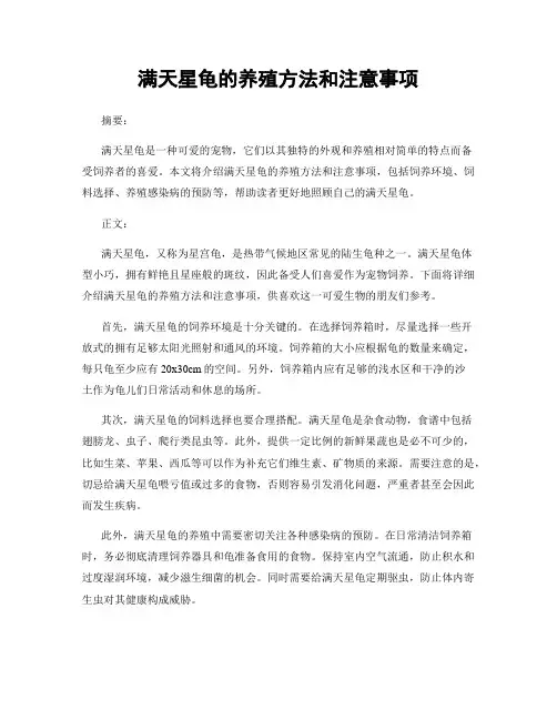 满天星龟的养殖方法和注意事项