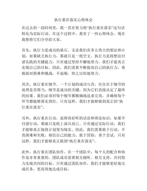 执行重在落实心得体会