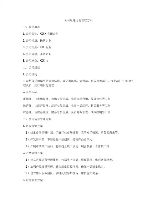 公司组建运营管理方案