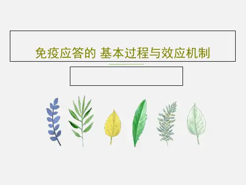 免疫应答的 基本过程与效应机制71页PPT