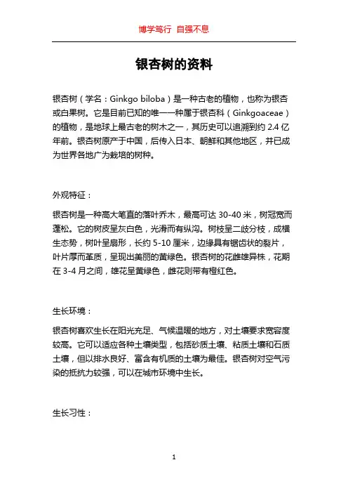 银杏树的资料