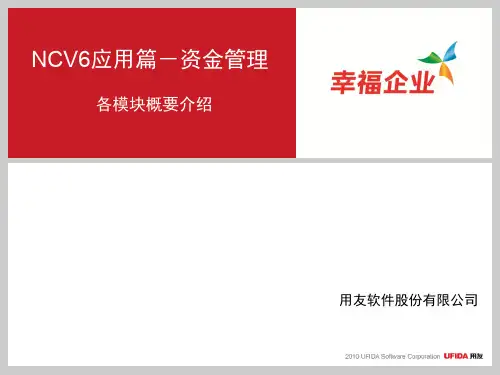 NCV6-资金管理-各模块概要介绍精品文档