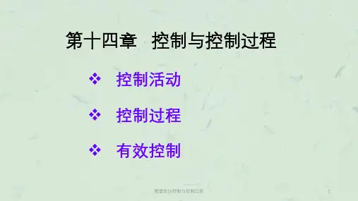 管理学14控制与控制过程课件