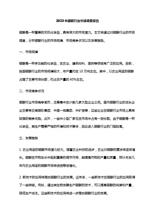 2023年硼酸行业市场调查报告