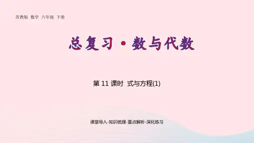 六年级数学下册七总复习1数与代数第11课时pptx课件苏教版