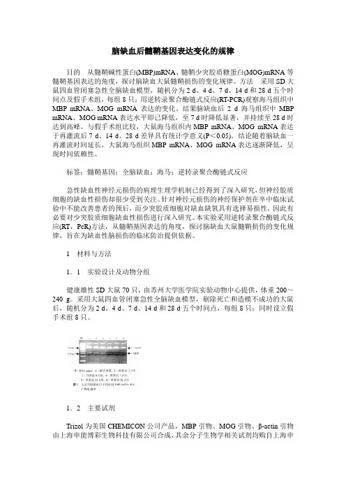 脑缺血后髓鞘基因表达变化的规律
