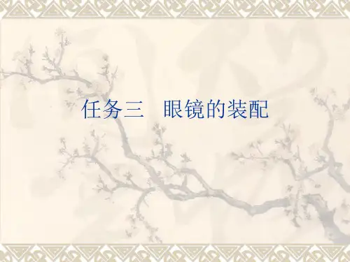 20眼镜装配