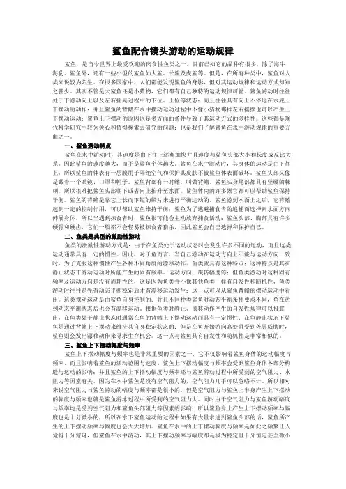鲨鱼配合镜头游动的运动规律