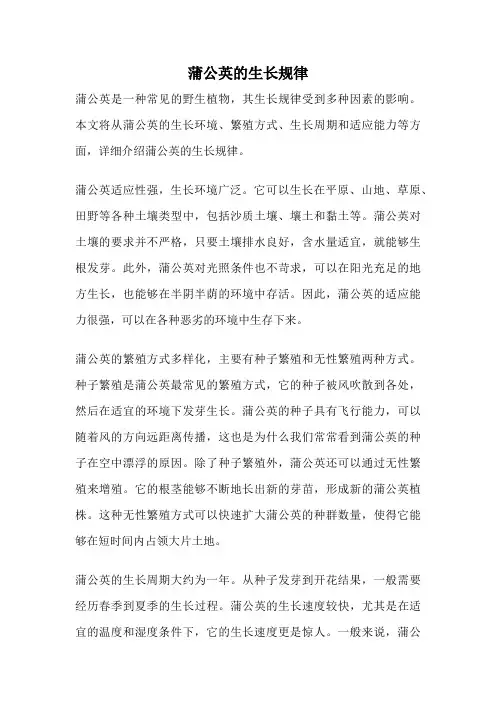 蒲公英的生长规律