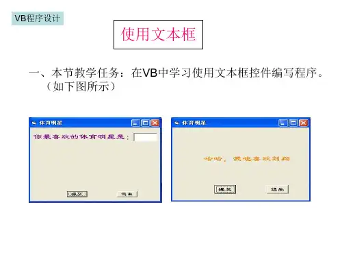 VB程序——使用文本框
