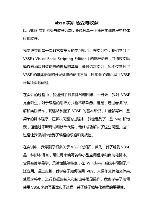 vbse实训感受与收获