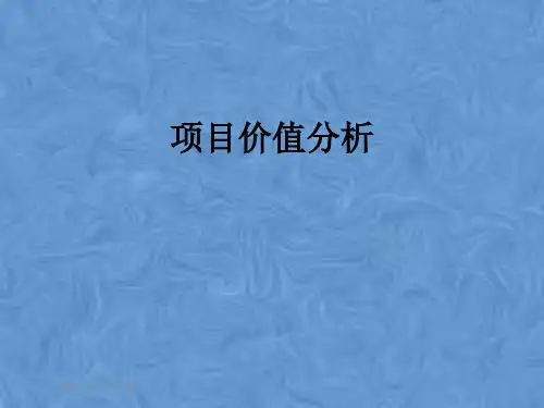 项目价值分析