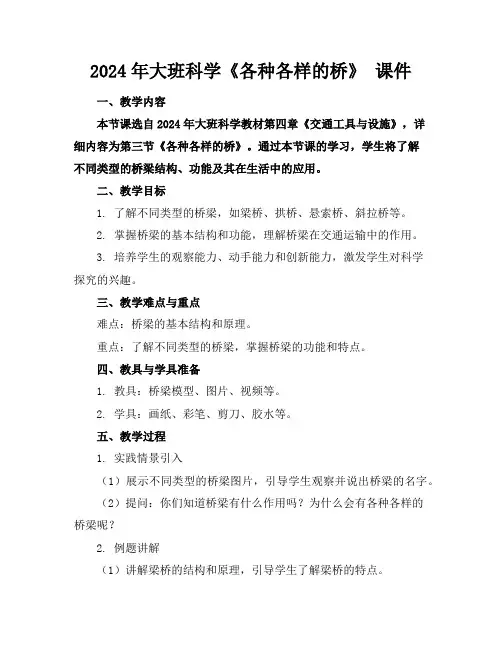 2024年大班科学《各种各样的桥》 课件