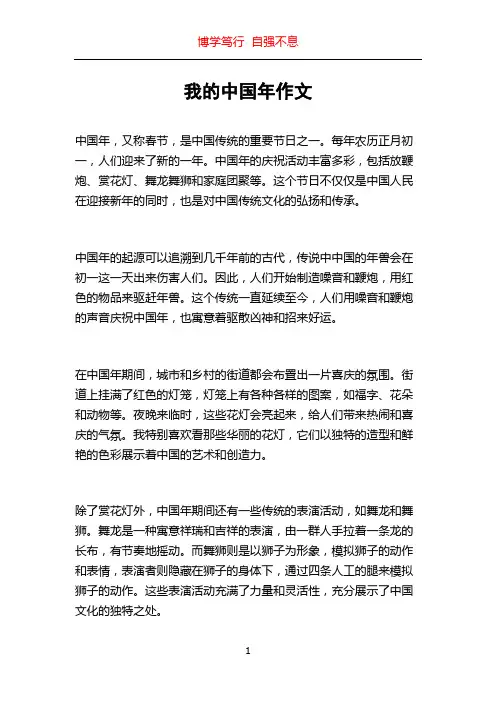 我的中国年作文