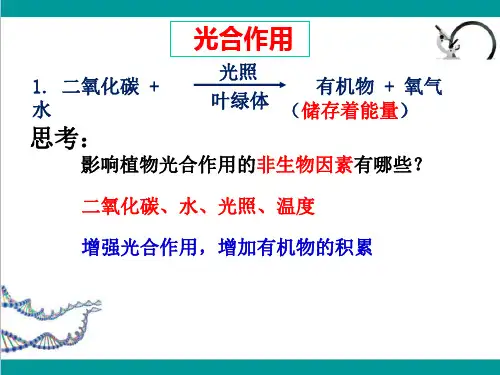 第三节植物光合作用的实质课件苏教版生物七年级上册