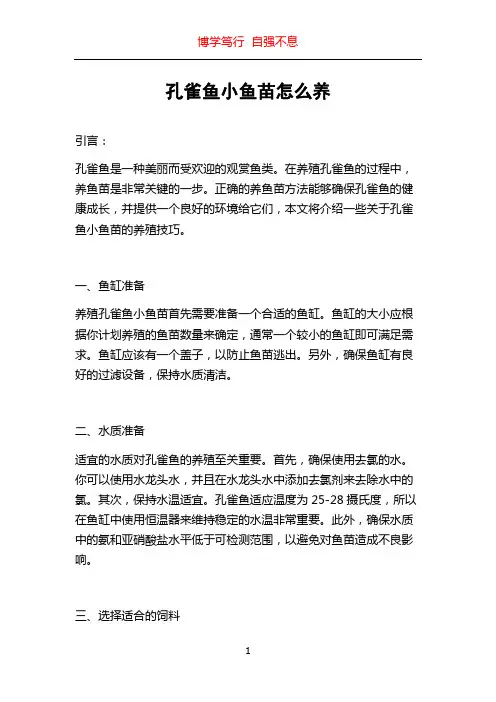 孔雀鱼小鱼苗怎么养