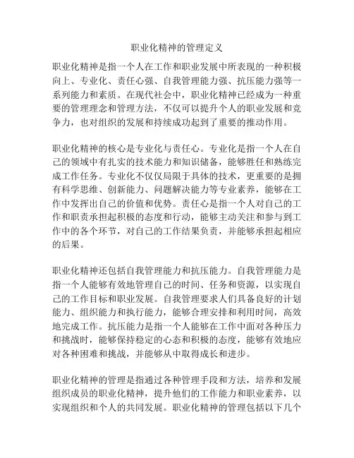 职业化精神的管理定义