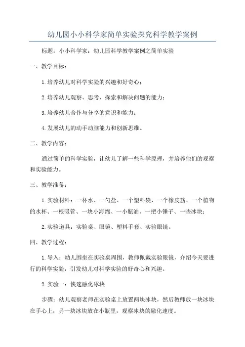 幼儿园小小科学家简单实验探究科学教学案例