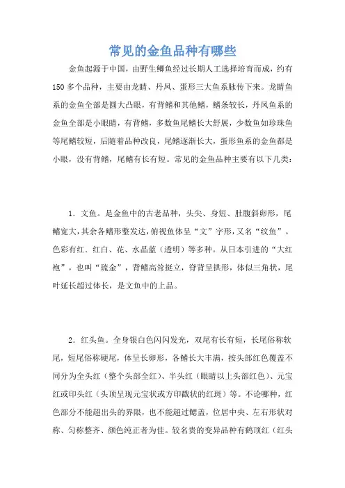 常见的金鱼品种有哪些