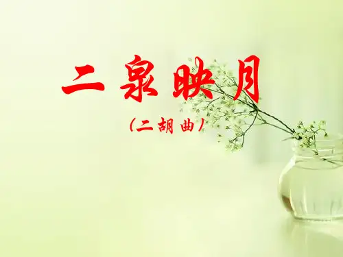 苏教版五年级语文下册《二泉映月》PPT课件(4篇)