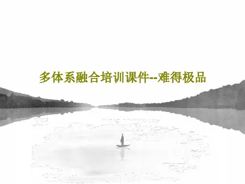 多体系融合培训课件--难得极品共31页