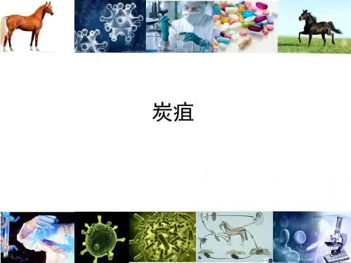 炭疽