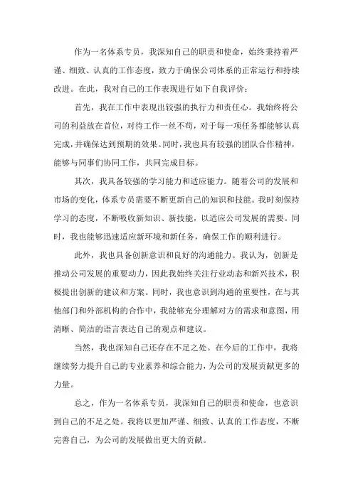体系专员自我评价