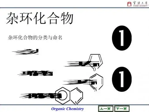 17杂环化合物概要-PPT课件
