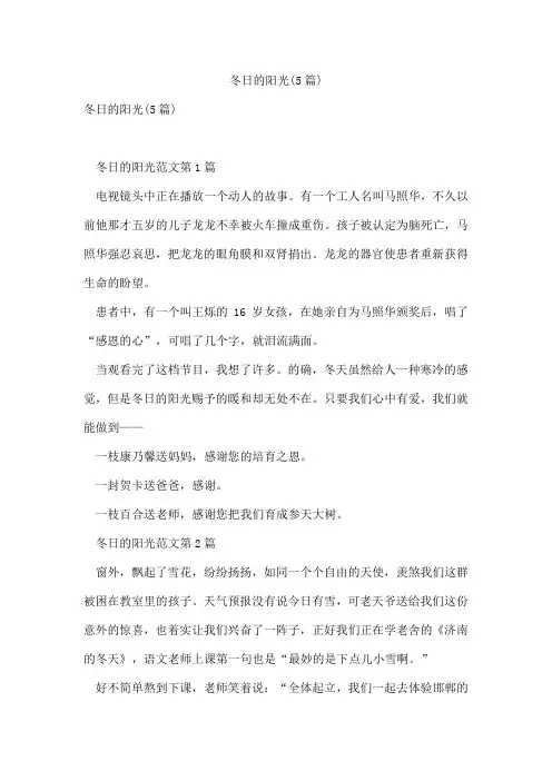 冬日的阳光(5篇)