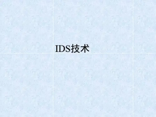 IDS技术原理解析