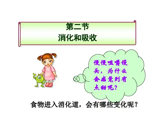 食物的消化和吸收PPT课件